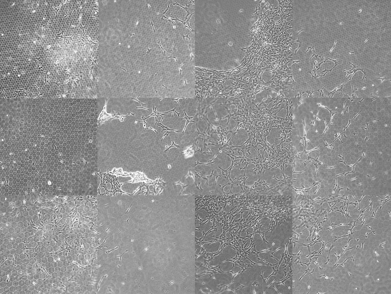 Customized Nano-Textured Hybrid Fabrication